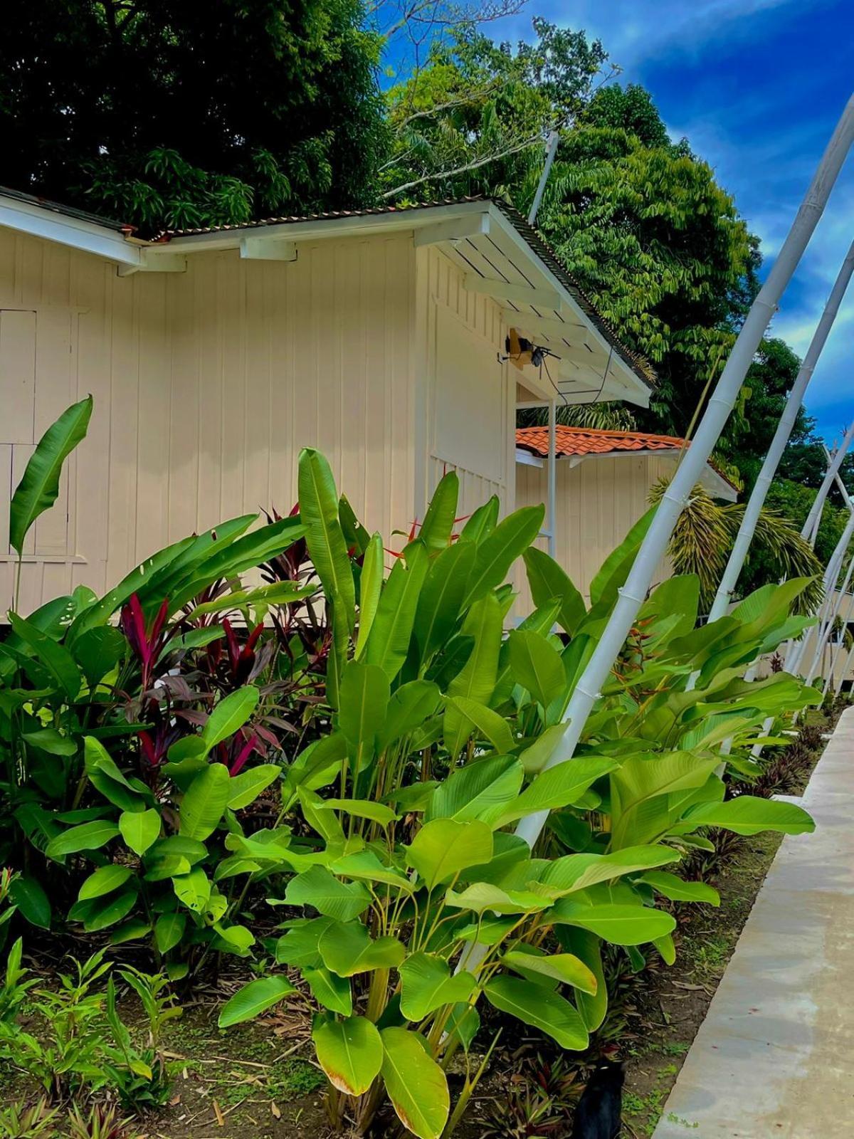 Hotel Grand Park Manuel Antonio - Adults Only Exterior foto